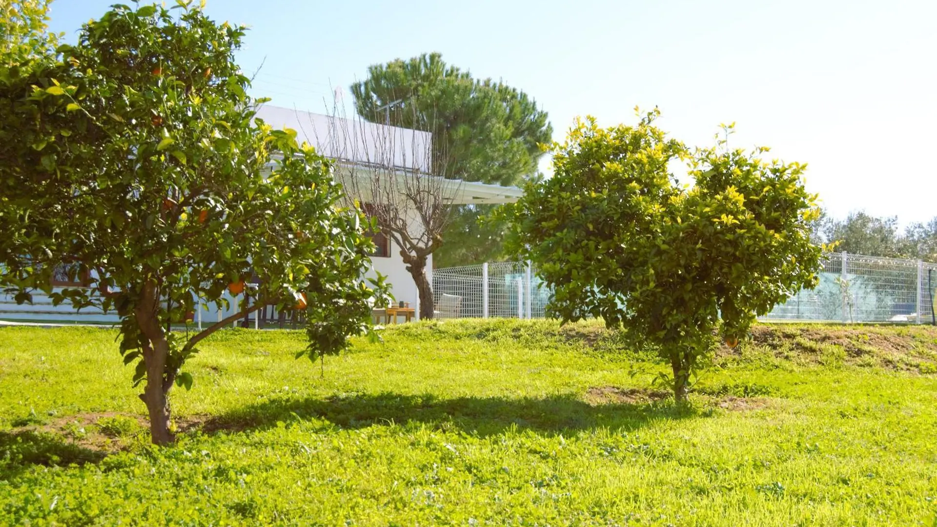 Villa La Casa Del Carreron Montilla 0*,  España
